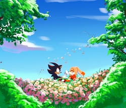 Size: 1950x1668 | Tagged: safe, artist:ifoundyoufaker, cream the rabbit, shadow the hedgehog, abstract background, cute, duo, flowers, outdoors