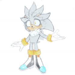 Size: 1280x1284 | Tagged: safe, artist:themetalvirus, silver the hedgehog, hedgehog, chest fluff, cute, looking offscreen, male, neck fluff, silvabetes, simple background, smile, solo, standing, white background