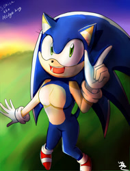 Size: 1024x1348 | Tagged: safe, artist:mikukawaine, sonic the hedgehog, hedgehog, 2015, abstract background, female, gender swap, grass, looking at viewer, mouth open, outdoors, pointing, signature, solo, standing, sunset