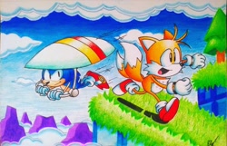 Size: 2048x1322 | Tagged: safe, artist:melosoni12, miles "tails" prower, sonic the hedgehog, sky high zone, 2019, classic sonic, classic style, classic tails, clenched fists, clouds, duo, grass, hang glider, looking ahead, looking at them, male, males only, mouth open, running, smile, sonic the hedgehog 2 (8bit), tree