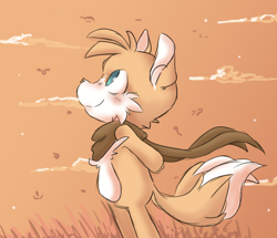 Size: 1048x900 | Tagged: safe, artist:dragnoodlez, miles "tails" prower, 2013, abstract background, arms behind back, autumn, blushing, clouds, cute, grass, leaf, looking at viewer, looking up, male, scarf, side view, solo, standing