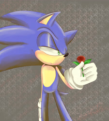 Size: 5102x5669 | Tagged: safe, artist:mizuki247, sonic the hedgehog, 2019, abstract background, blushing, flower, frown, holding something, lidded eyes, looking offscreen, redraw, rose, solo, standing, thinking
