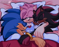 Size: 2500x2000 | Tagged: safe, artist:araeofdrawings, amy rose, sonic the hedgehog, amy x sonic, bed, bisexual, polyamory, shadow x sonic, shipping, sleeping, sonamyshad, straight, trio