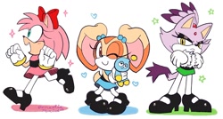 Size: 1200x645 | Tagged: safe, artist:domestic maid, amy rose, blaze the cat, cream the rabbit, blossom (the ppg), bubbles (the ppg), buttercup (the ppg), crossover, the powerpuff girls, trio