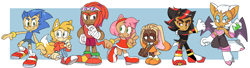 Size: 4028x1103 | Tagged: safe, artist:cherucat, amy rose, cream the rabbit, knuckles the echidna, miles "tails" prower, rouge the bat, shadow the hedgehog, sonic the hedgehog, human, group, humanized