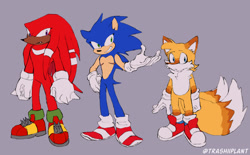 Size: 2048x1267 | Tagged: safe, artist:trashiiplant, knuckles the echidna, miles "tails" prower, sonic the hedgehog, frown, looking offscreen, male, males only, one fang, purple background, redesign, simple background, smile, standing, team sonic, top surgery scars, trans male, transgender, trio, trio male