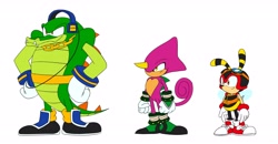 Size: 4096x2134 | Tagged: safe, artist:studiohowteyoyt, charmy bee, espio the chameleon, vector the crocodile, redesign, simple background, standing, team chaotix, trio, white background