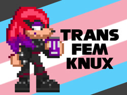 Size: 1000x750 | Tagged: safe, artist:_calcium, knuckles the echidna, 2023, character name, english text, eyeshadow, female, goth, goth knuckles, goth outfit, lidded eyes, mod, pixel art, smile, solo, sonic the hedgehog 3, sprite, standing, trans female, trans pride, transgender