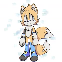 Size: 1479x1479 | Tagged: safe, artist:roomaru, skye prower, fox, 2019, abstract background, boots, chest fluff, gloves, looking offscreen, male, smile, solo, standing, two tails