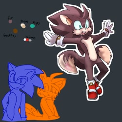 Size: 1000x1000 | Tagged: safe, artist:xxsjdoodlesxx, miles "tails" prower, sonic the hedgehog, oc, hybrid, 2018, arms out, blue background, brown fur, cheek fluff, english text, fusion, fusion:sonic, fusion:tails, gloves, hedgefox, male, males only, mouth open, outline, peach fur, shoes, simple background, socks, solo focus, standing, trio, turquoise eyes, two tails