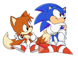 Size: 1100x800 | Tagged: safe, artist:nannelflannel, miles "tails" prower, sonic the hedgehog, adventures of sonic the hedgehog, duo, frown, hand on own chin, looking offscreen, mouth open, simple background, standing, tapping foot, white background