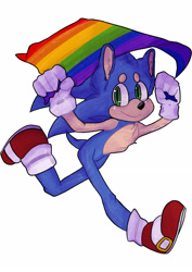 Size: 2480x3508 | Tagged: safe, artist:orchiiids, sonic the hedgehog, 2021, chest fluff, holding something, looking at viewer, modern sonic, pride, pride flag, running, simple background, smile, solo, white background