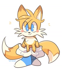 Size: 1432x1640 | Tagged: safe, artist:teirusuki, miles "tails" prower, blue shoes, blushing, chest fluff, colored arms, colored ears, colored legs, cute, looking ahead, redesign, signature, simple background, smile, solo, standing, tailabetes, white background