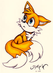 Size: 1578x2174 | Tagged: safe, artist:rawn89, miles "tails" prower, fox, 2012, :<, cute, frown, literal animal, looking up, signature, simple background, sitting, solo, tailabetes, tan background, traditional media