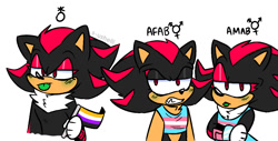 Size: 996x504 | Tagged: safe, artist:shads-art, shadow the hedgehog, binder, blushing, chest fluff, clenched teeth, dress, english text, female, flag, green tongue, holding something, lidded eyes, looking at viewer, looking offscreen, male, nonbinary, nonbinary pride, pride flag, raised eyebrow, simple background, standing, tongue out, trans female, trans male, transgender, trio, white background