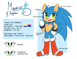 Size: 2600x2000 | Tagged: safe, artist:syrcaii, sonic the hedgehog, 2022, abstract background, au:resonance, bisexual, boots, character name, character sheet, chest fluff, english text, eyelashes, hand on hip, heart chest, looking at viewer, modern sonic, nonbinary, one fang, reference sheet, smile, solo, standing