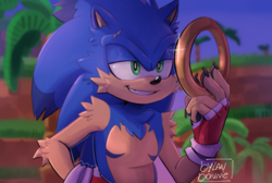Size: 640x429 | Tagged: safe, artist:vilegato, sonic the hedgehog, sonic prime, abstract background, chest fluff, claws, clenched teeth, fingerless gloves, fluffy, hand on hip, holding something, lidded eyes, male, orange brown checkerboard, palm tree, redraw, ring, signature, smile, solo, solo male, standing, top surgery scars, trans male, transgender