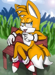 Size: 753x1024 | Tagged: safe, artist:call me doctor, miles "tails" prower, 2018, abstract background, bench, bench tails, daytime, grass, licking, lidded eyes, meme, outdoors, redraw, signature, sitting, solo, tongue out