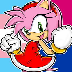 Size: 1000x1000 | Tagged: safe, artist:sth-lgbtq, artist:yuji uekawa, editor:sth-lgbtq, amy rose, abstract background, bisexual, bisexual pride, edit, female, icon, looking at viewer, outline, pride flag background, smile, solo, solo female, trans pride, transgender