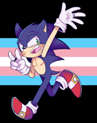 Size: 1100x1400 | Tagged: safe, artist:thesparkledash, sonic the hedgehog, abstract background, lidded eyes, male, modern sonic, running, solo, solo male, top surgery scars, trans male, trans pride, transgender, v sign