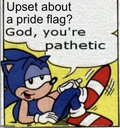 Size: 640x684 | Tagged: safe, sonic the hedgehog, alone on a friday night, classic sonic, edit, english text, god you're pathetic, greg martin style, lidded eyes, meme, mouth open, pride, solo, speech bubble
