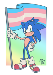 Size: 764x1080 | Tagged: safe, artist:fluxiled, sonic the hedgehog, abstract background, border, flag, flat colors, hand on hip, holding something, looking at viewer, modern sonic, pride flag, signature, smile, solo, standing, trans pride