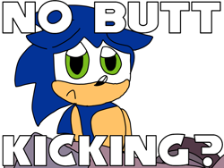 Size: 2048x1536 | Tagged: safe, artist:marionickaiwatchfan, sonic the hedgehog, sonic prime, cute, english text, flat colors, frown, looking at viewer, male, modern sonic, redraw, solo, solo male, sonabetes, standing
