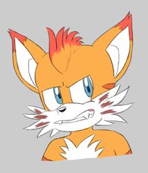 Size: 600x700 | Tagged: safe, artist:lali-lop, mangey, miles "tails" prower, sonic prime, 2023, angry, bust, clenched teeth, ear fluff, fangs, flat colors, grey background, looking offscreen, male, simple background, solo, solo male