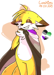 Size: 1280x1795 | Tagged: safe, artist:puffinpermuffin, miles "tails" prower, 2019, abstract background, ace, aromantic, aromantic pride, asexual pride, blushing, cape, chest fluff, clenched teeth, eyes closed, floppy ears, headcanon, heart, smile, solo, standing