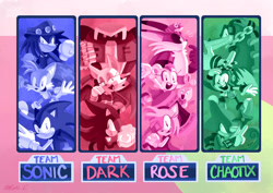 Size: 2048x1448 | Tagged: safe, artist:rechicken-and-waffles, amy rose, big the cat, charmy bee, cream the rabbit, e-123 omega, espio the chameleon, froggy, knuckles the echidna, miles "tails" prower, rouge the bat, shadow the hedgehog, sonic the hedgehog, vector the crocodile, chao, sonic heroes, abstract background, english text, female, flapping wings, genderless, group, hat, male, monochrome, multiple monochrome, piko piko hammer, redraw, robot, shuriken, team chaotix, team dark, team rose, team sonic, wall of tags