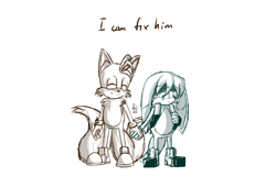 Size: 2048x1396 | Tagged: safe, artist:brainworms-all-night-long, kit the fennec, miles "tails" prower, alternate version, duo, english text, gay, holding hands, kitails, shipping, simple background, smile, white background