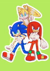Size: 2048x2897 | Tagged: safe, artist:tillytilli, knuckles the echidna, miles "tails" prower, sonic the hedgehog, sonic heroes, double thumbs up, eyelashes, flying, green background, looking at viewer, male, males only, outline, pose, simple background, smile, spinning tails, team sonic, trio, trio male, watermark