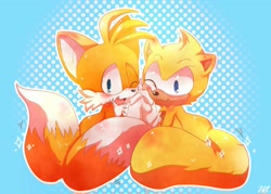 Size: 1400x1000 | Tagged: source needed, safe, artist:神之まにまに, miles "tails" prower, ray the flying squirrel, :3, abstract background, blushing, blushing ears, cute, duo, duo male, gay, holding hands, hugging, looking at viewer, male, males only, one fang, outline, rayabetes, shipping, sitting, smile, sparkles, tailabetes, tailray, wink