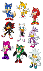 Size: 984x1636 | Tagged: safe, artist:biko97, blaze the cat, espio the chameleon, jet the hawk, knuckles the echidna, miles "tails" prower, rouge the bat, shadow the hedgehog, silver the hedgehog, sonic the hedgehog, bat, cat, echidna, fox, hedgehog, 2017, chameleon, female, group, hawk, male, simple background, species swap, standing, white background