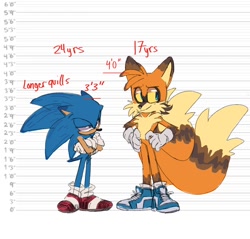 Size: 1570x1500 | Tagged: safe, artist:indigobeatss, miles "tails" prower, sonic the hedgehog, 2020, abstract background, adult, aged up, arms folded, blue shoes, duo, duo male, english text, frown, hands on hips, height chart, lidded eyes, looking at them, looking offscreen, male, males only, older, smile, standing, teenager, yellow sclera