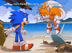 Size: 1920x1400 | Tagged: safe, artist:survivalstep, miles "tails" prower, sonic the hedgehog, sonic the ova, 2021, beach, dialogue, duo, duo male, english text, flying, lidded eyes, looking at each other, male, males only, mouth open, ocean, one fang, redraw, signature, spinning tails, standing