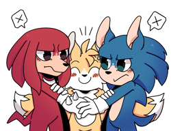 Size: 2600x2000 | Tagged: safe, artist:dragnoodlez, knuckles the echidna, miles "tails" prower, sonic the hedgehog, sonic the hedgehog 2 (2022), 2022, blushing, cute, eyes closed, frown, group hug, hugging, looking at each other, male, males only, simple background, smile, standing, tailabetes, team sonic, trio, trio male, white background