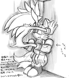 Size: 650x730 | Tagged: artist needed, safe, miles "tails" prower, silver the hedgehog, blushing, gay, japanese text, monochrome, shipping, silvails, sketch