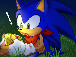 Size: 1600x1200 | Tagged: safe, artist:pukopop, sonic the hedgehog, 2022, bandana, chaos emerald, exclamation mark, fingerless gloves, grass, holding something, looking at something, nighttime, outdoors, solo