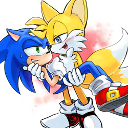 Size: 1000x1000 | Tagged: safe, artist:lujji, miles "tails" prower, sonic the hedgehog, 2013, abstract background, blushing, carrying them, duo, gay, lidded eyes, shipping, smile, sonic x tails, standing, sweatdrop