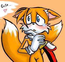 Size: 457x437 | Tagged: safe, artist:sayacat, miles "tails" prower, shadow the hedgehog, 2007, blushing, crying, duo, duo male, ear fluff, english text, floppy ears, gay, heart, holding another's arm, looking offscreen, male, offscreen character, orange background, shadails, shipping, simple background, solo focus, standing, stroking, tears