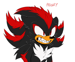 Size: 1944x1604 | Tagged: safe, artist:bongwater777, shadow the hedgehog, 2020, angry, clenched teeth, ear fluff, english text, floppy ears, looking offscreen, male, messy fur, sharp teeth, simple background, solo, standing, white background