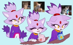 Size: 2727x1698 | Tagged: safe, artist:bongwater777, blaze the cat, cat, 2020, blue background, blushing, clenched teeth, drink, drinking, female, floppy ears, frown, irl, juice box, looking at viewer, mouth open, reference inset, simple background, smile, solo, standing