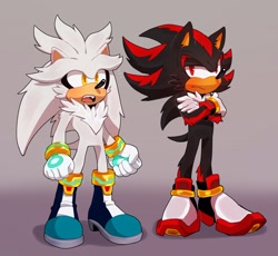 Size: 2048x1881 | Tagged: safe, artist:bongwater777, shadow the hedgehog, silver the hedgehog, 2020, arms folded, chest fluff, duo, duo male, fangs, frown, gradient background, lidded eyes, looking at viewer, looking offscreen, male, messy fur, mouth open, neck fluff, standing