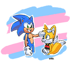 Size: 1024x976 | Tagged: safe, artist:surlifen, miles "tails" prower, sonic the hedgehog, 2019, binder, duo, hand on another's head, looking at them, outline, semi-transparent background, smile, standing, trans male, trans pride, transgender