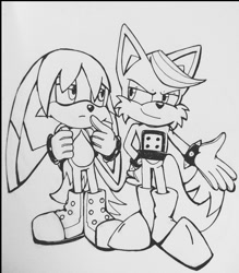Size: 940x1072 | Tagged: safe, artist:phyllisartpage, kit the fennec, miles (anti-mobius), 2021, duo, duo male, frown, grey background, lidded eyes, looking at each other, male, males only, monochrome, simple background, smile, standing