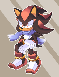 Size: 1417x1854 | Tagged: safe, artist:quark19601, shadow the hedgehog, 2021, abstract background, frown, looking at viewer, outline, scarf, sitting, solo
