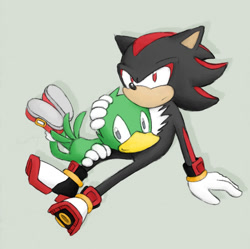 Size: 645x642 | Tagged: safe, artist:rooteh, bean the dynamite, shadow the hedgehog, hedgehog, beanadow, crack shipping, gay, green background, grey eyes, hand on another's head, lap pillow, red eyes, shipping