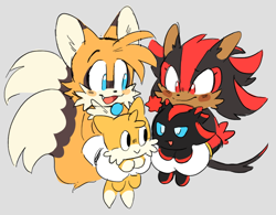 Size: 892x694 | Tagged: safe, artist:shadails, miles "tails" prower, shadow the hedgehog, chao, blushing, character chao, gay, genderless, grey background, group, holding them, shadails, shadow chao, shipping, simple background, smile, tails chao