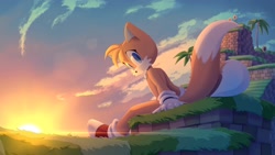 Size: 2048x1151 | Tagged: safe, artist:emilyhuante, miles "tails" prower, green hill zone, clouds, from behind, lineless, looking back at viewer, palm tree, smile, solo, sunflower, sunset